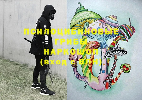 ГАЛЛЮЦИНОГЕННЫЕ ГРИБЫ Абинск