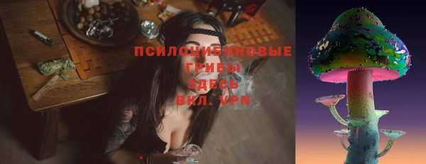 ГАЛЛЮЦИНОГЕННЫЕ ГРИБЫ Абинск